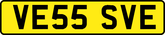 VE55SVE