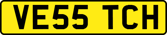 VE55TCH