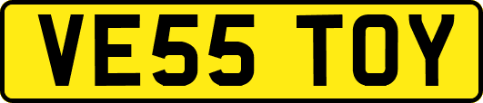 VE55TOY