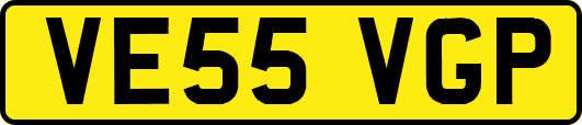 VE55VGP