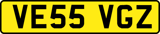 VE55VGZ