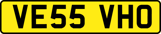VE55VHO
