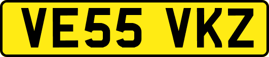 VE55VKZ
