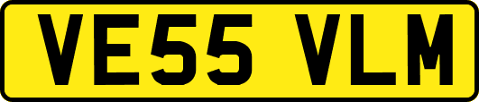 VE55VLM