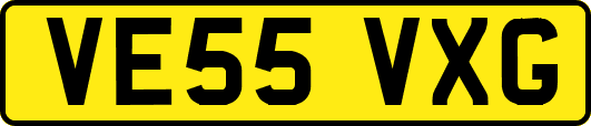 VE55VXG