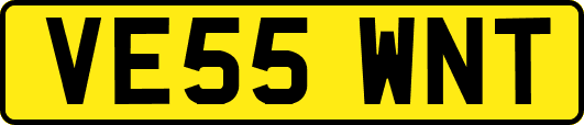 VE55WNT