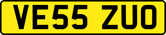 VE55ZUO