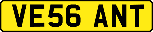 VE56ANT