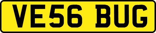 VE56BUG