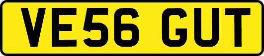 VE56GUT