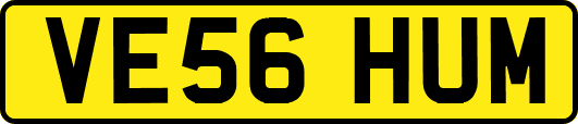 VE56HUM