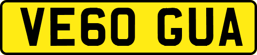 VE60GUA