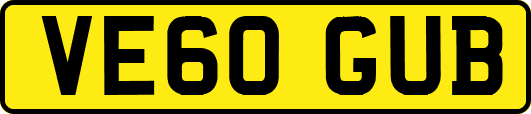 VE60GUB