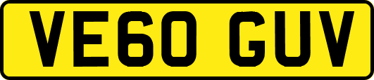 VE60GUV
