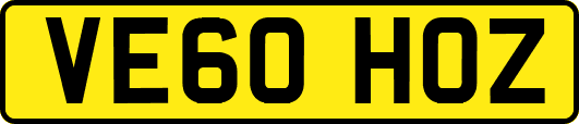 VE60HOZ
