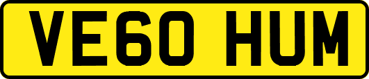 VE60HUM