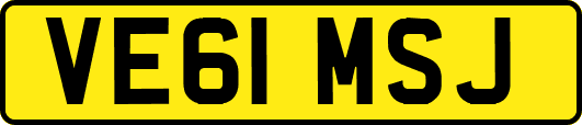 VE61MSJ