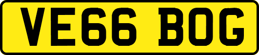 VE66BOG