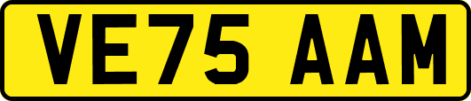 VE75AAM