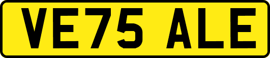 VE75ALE