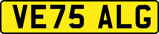 VE75ALG