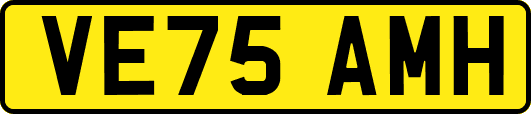 VE75AMH