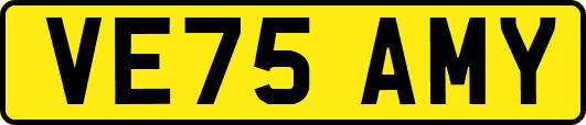 VE75AMY
