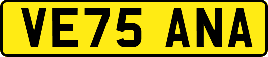 VE75ANA