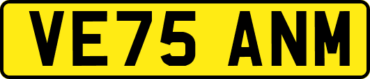 VE75ANM