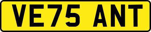 VE75ANT