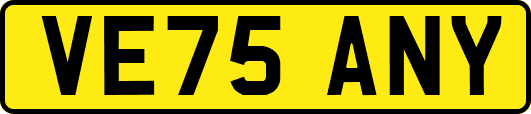 VE75ANY