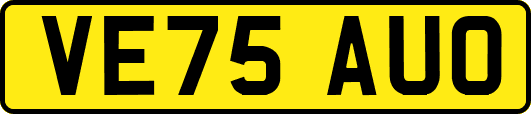 VE75AUO