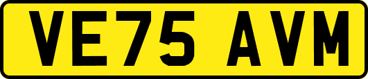 VE75AVM