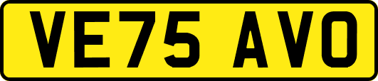VE75AVO