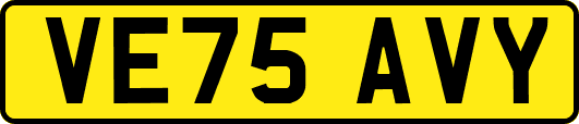 VE75AVY
