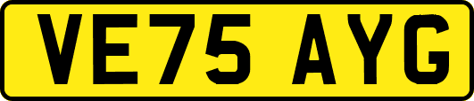VE75AYG