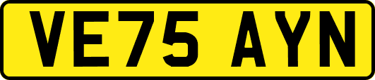 VE75AYN