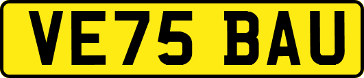 VE75BAU