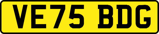 VE75BDG