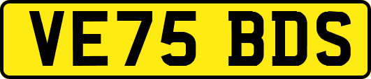 VE75BDS