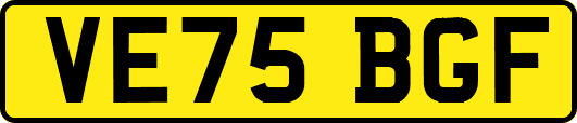 VE75BGF