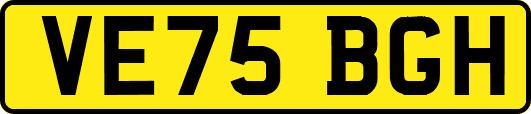 VE75BGH