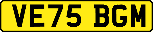 VE75BGM