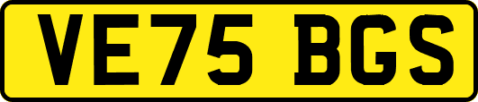 VE75BGS