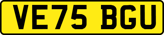 VE75BGU