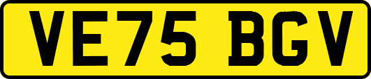 VE75BGV