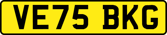 VE75BKG