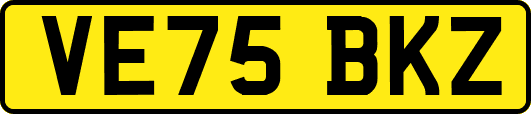 VE75BKZ