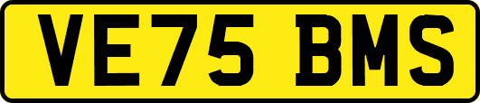 VE75BMS