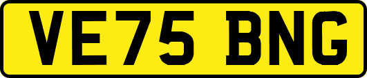 VE75BNG